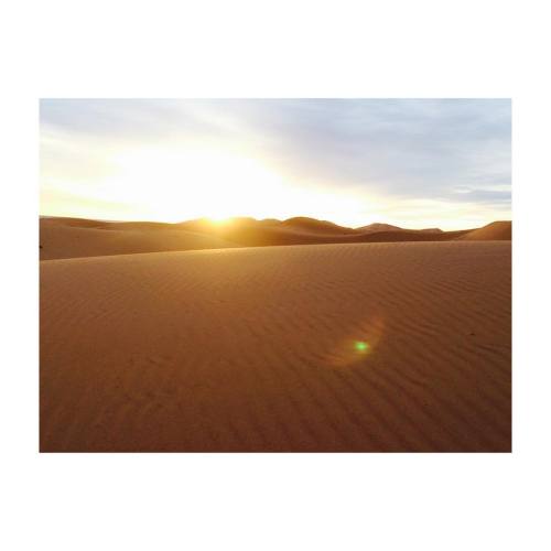 we spent the night in the Sahara and awoke to gold spilling over the dunes   #sahara #saharadesert #Africa #travelafrica #morocco  (at Sahara Desert)