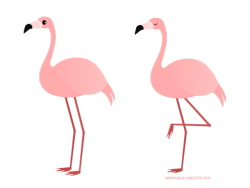 saradrawsdaily:Two flamingos.