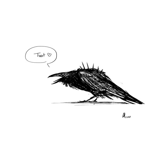 abz-j-harding: some incredibly rude ravens X 