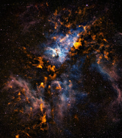 spaceexp:  Clouds of Carina
