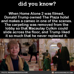 did-you-kno:  10 Home Alone 2 Facts That Will (Hopefully) Give