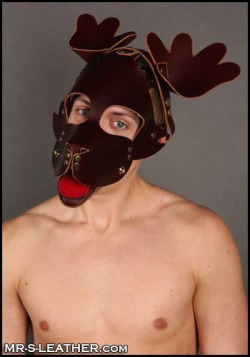 Love this Leather Reindeer Mask from the guys @mrsleatherHoliday