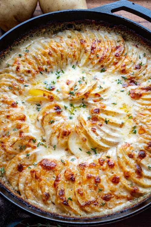 yummyinmytumbly:  Potatoes Gratin