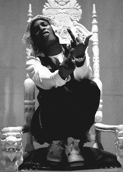 broke with expensive taste