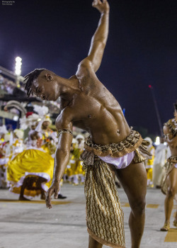   Rio de Janeiro: Carnival 2016, by Terry George.  