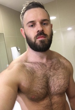 thebearunderground: Follow The Bear Underground and check archives.Posting