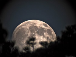 celtic-forest-faerie:  {The Moon Plays Hide And Seek} by {Victor De Lara} 