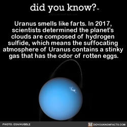 did-you-know:  Uranus smells like farts. In 2017, scientists