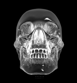 ~e tumblr mark’d/crystal skull/origin unknown