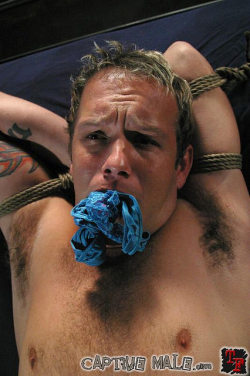 struthin:Kink fantasy 4: and while you’re tied you add more