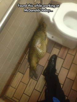 srsfunny:  Confirmed: Fish McBites Are Backhttp://srsfunny.tumblr.com/