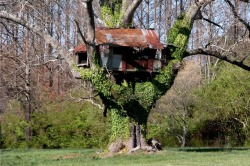 abandonedandurbex: Abandoned Treehouse [1024x681]