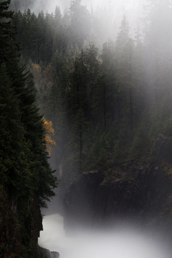 captivesouls:  Nature