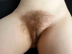 hairypussypics.tumblr.com/post/91985076155/