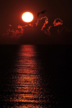 d-vn:  A sunrise over the Black Sea, Crimea by Sevastopol on