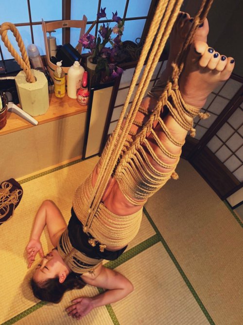 justscreenshots:  Shibari & Photo Shigonawa BingoModel Juna