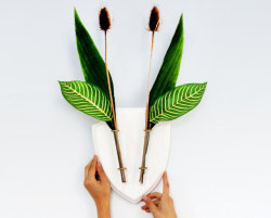 sosuperawesome: Wall Vases by Eco Deer on Etsy