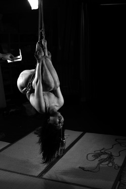 koteotakate:  Photo:Koteo Takate Rope:kai Model:Ryo 