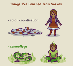 birdandmoon:Snakes are amazing! High five (/tail?) to all the