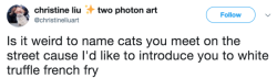 justcatposts:  via @christineliuart