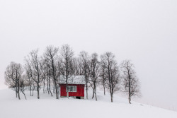 cabinporn:  Little red cabin on Lofoten Island, Norway. Contributed