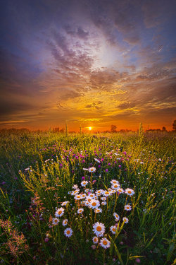 sitoutside:   Father's Day   by  Phil~Koch  