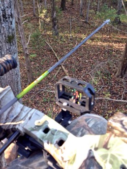 It was a perfect evening to be in the stand.