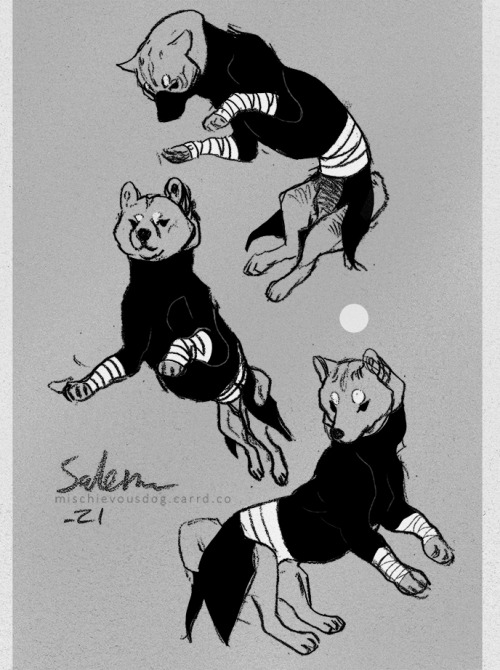 mischievousdog:Ninja shibe ninja shibe