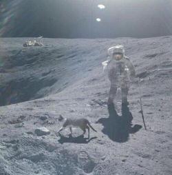 placidiappunti:  “La NASA nasconde il fatto che la Luna è
