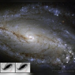 NGC 613 in Dust, Stars, and a Supernova #nasa #apod #esa #qub