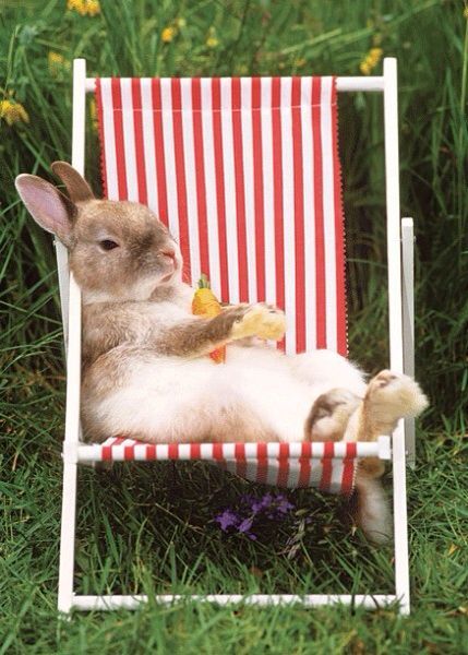 dustidustbunni.tumblr.com/post/98708481304/
