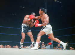 vintagesportspictures:  Muhammad Ali rocks Sonny Liston with