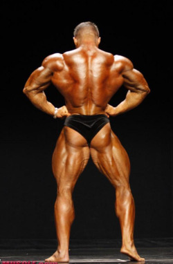 eye4muscle:  Great V taper and glutes of Zane Watson.   Zane