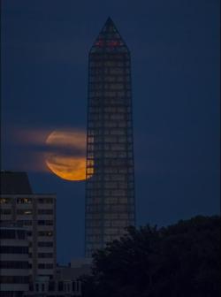 unicorn-meat-is-too-mainstream:  Supermoon in Washington 