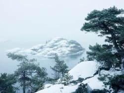 daysofblacksnow:  Winter Haze by Philip Karlberg  (Stockholm,