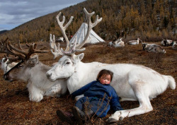 fotojournalismus:  The Tsaatan (Dukha) Reindeer Nomads from the