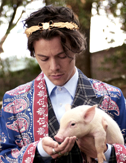 harrystylesdaily:  Harry Styles for Gucci’s Cruise 2019 Tailoring