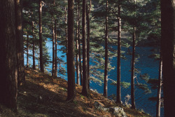 ovunquesei-iosonoaltrove:  expressions-of-nature:  Glendalough,