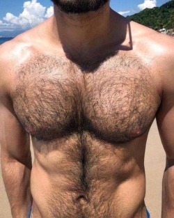 thebearunderground:  The Bear Underground - Best in Hairy Men