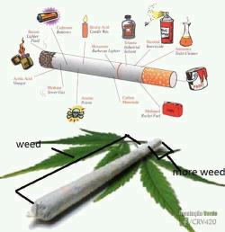thefourtwentytimes:  Weed v. Tobacco Comparison 