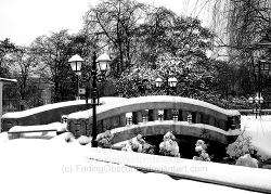 tempories:  Snow by fadingobscurity Don’t remove the credits,