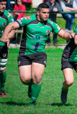 roscoe66:Beefy Rugby Hottie