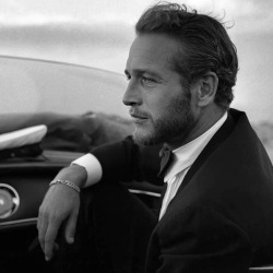 hoscos:  Paul Newman 