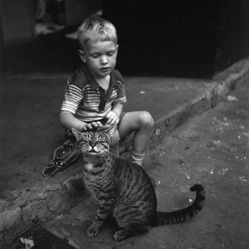 Petting the cat, New York, 1954. Photographed by Vivian Maier.
