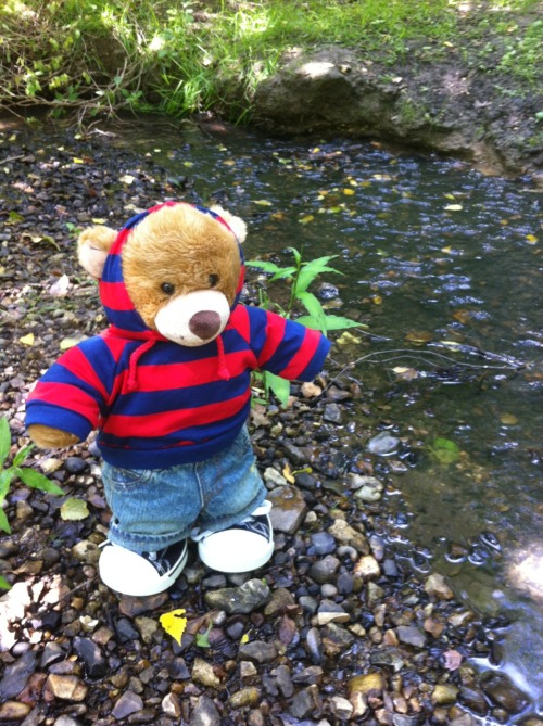 lilscruff:  babyjasonabdl:  JJ bear having a fun adventure too.   I am so jealous of your tee shirt.