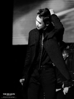 beastrising:  The Reason | do not edit 