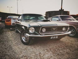 ford-mustang-generation:  Ford Mustang by brambocx on Flickr.