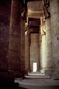 grandegyptianmuseum:    Hathor head columns in the Hypostyle Hall.   Temple of Hathor, Dendera.  Give praise 