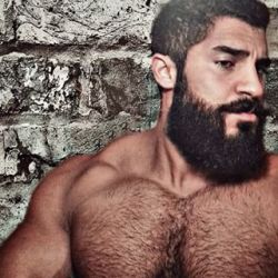 furonmuscle:  This incredibly sexy, hairy, brick outhouse of