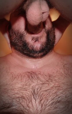 bearyfellas:Fur, daddies, muscle, bearyfellas🐻 bearyfellas.tumblr.com